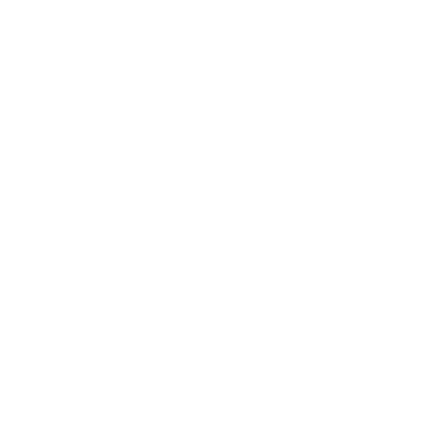 Litir Logo